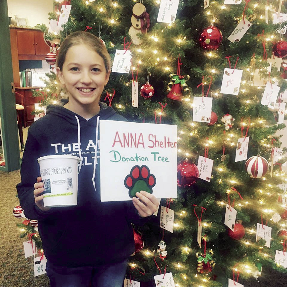 ANNA shelter donation tree avery sontheimer